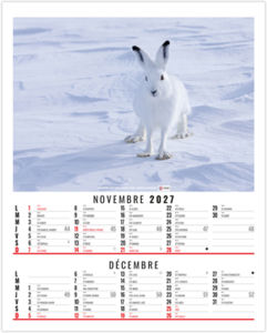 Calendrier illustré entreprise Anna 2027 6