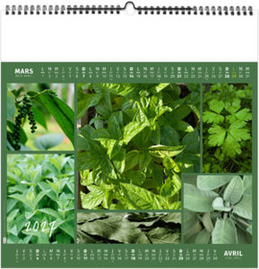 Calendrier illustré entreprise Aromates et Compagnie 2027 2