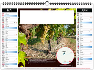 Calendrier illustré entreprise Grappe 2027 3