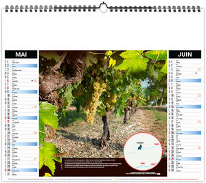 Calendrier illustré entreprise Grappe 2027 9