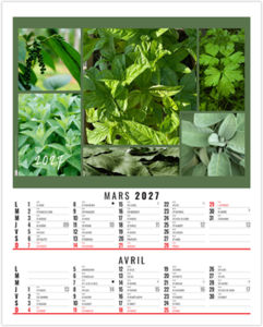 Calendrier illustré entreprise Maë 2027 2
