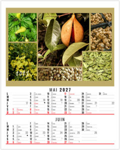 Calendrier illustré entreprise Maë 2027 3
