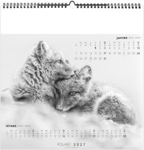Calendrier illustré entreprise Polaire 2027 2