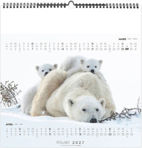 Calendrier illustré entreprise Polaire 2027 3