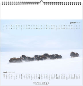 Calendrier illustré entreprise Polaire 2027 5