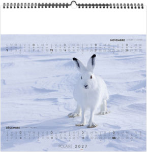 Calendrier illustré entreprise Polaire 2027 7