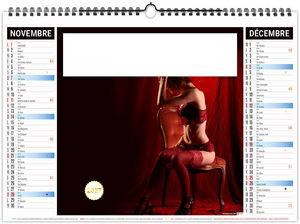 Calendrier illustré entreprise Push Up 2027 6