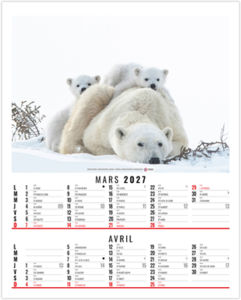 Calendrier illustré personnalisable Anna 2027 2