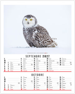 Calendrier illustré personnalisable Anna 2027 5