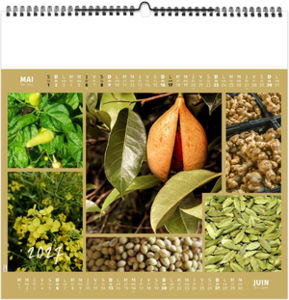 Calendrier illustré personnalisé Aromates et Compagnie 2027 3
