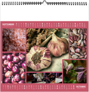 Calendrier illustré personnalisé Aromates et Compagnie 2027 5