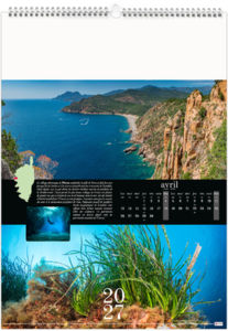 Calendrier illustré personnalisé Corsica 2027 5