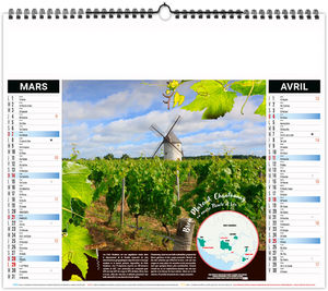 Calendrier illustré personnalisé Grappe 2027 8
