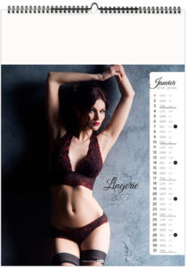 Calendrier illustré personnalisé Lingerie 2027 2