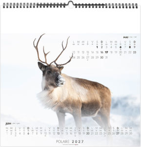 Calendrier illustré personnalisé Polaire 2027 4