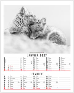 Calendrier illustré publicitaire Anna 2027 1