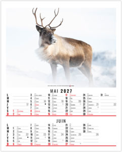 Calendrier illustré publicitaire Anna 2027 3