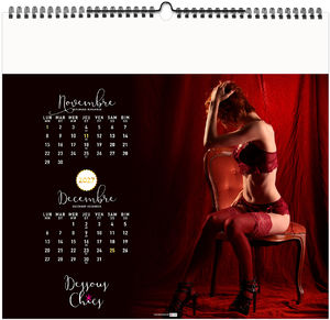 Calendrier illustré publicitaire Dessous Chics 2027 7
