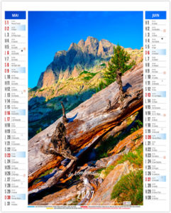Calendrier illustré publicitaire Léa 2027 3