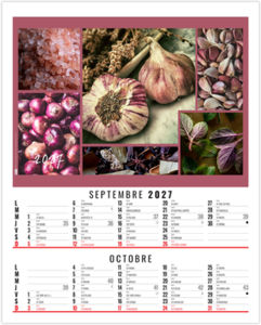 Calendrier illustré publicitaire Maë 2027 5