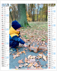 Calendrier illustré publicitaire Mattéo 2027 5