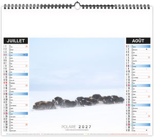 Calendrier illustré publicitaire Neige 2027 10