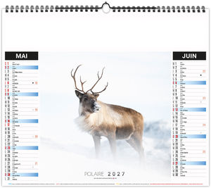 Calendrier illustré publicitaire Neige 2027 9