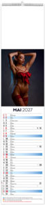 Calendrier illustré publicitaire Nuisette 2027 4