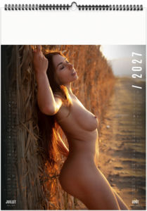 Calendrier illustré publicitaire Tentation 2027 5