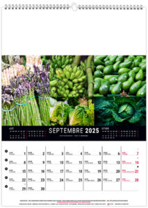 Calendrier mural couleurs marché 2026 8