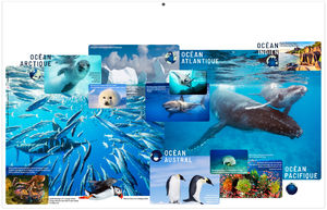 Calendrier personnalisable maximilien 2026 7
