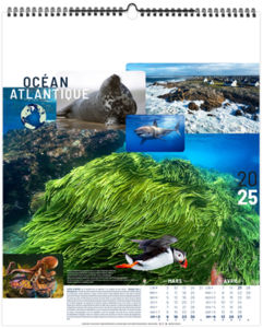Calendrier personnalisable océans 2026 5
