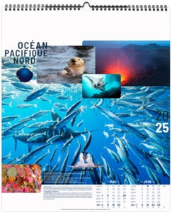 Calendrier personnalisé océans 2026 6