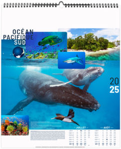 Calendrier personnalisé océans 2026 7