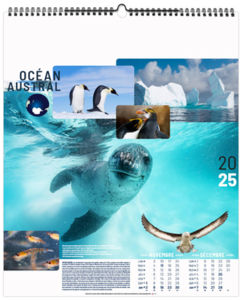 Calendrier personnalisé océans 2026 9