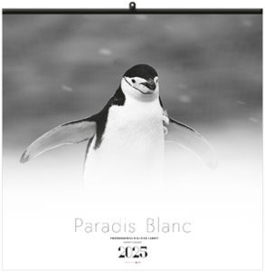 Calendrier personnalisé paradis blanc 2026 1