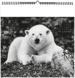 Calendrier personnalisé paradis blanc 2026 7