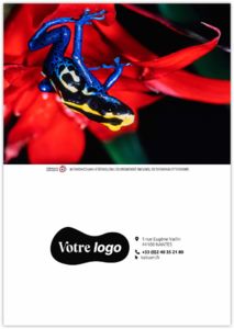 Calendrier poche ella 2026 5