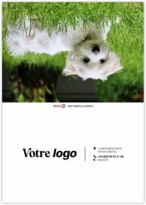 Calendrier poche fidèle 2026 4