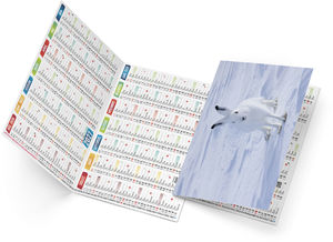 Calendrier poche publicitaire Tristan 2027 1