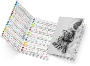 Calendrier poche publicitaire Tristan 2027