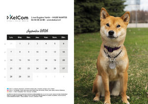 Calendrier publicitaire chevalet Animaux Paysage 9