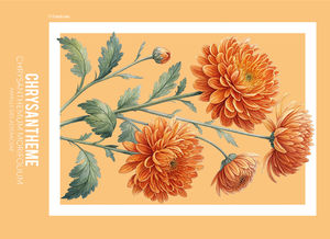 Calendriers publicitaires pharmacie, Botanicus 2