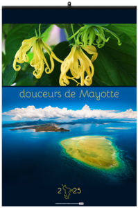 Calendrier entreprise douceurs de mayotte 2026 1