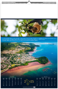 Calendrier entreprise douceurs de mayotte 2026 7