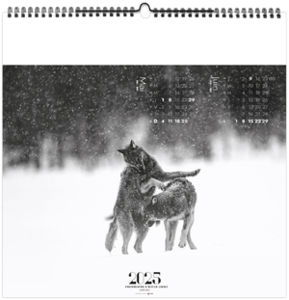 Calendrier entreprise paradis blanc 2026 6