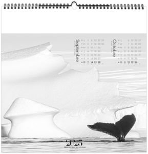 Calendrier entreprise paradis blanc 2026 8
