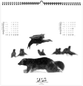 Calendrier entreprise paradis blanc 2026 9